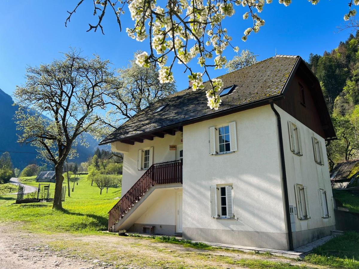 Apartments Mala Korita Soce Soča Extérieur photo