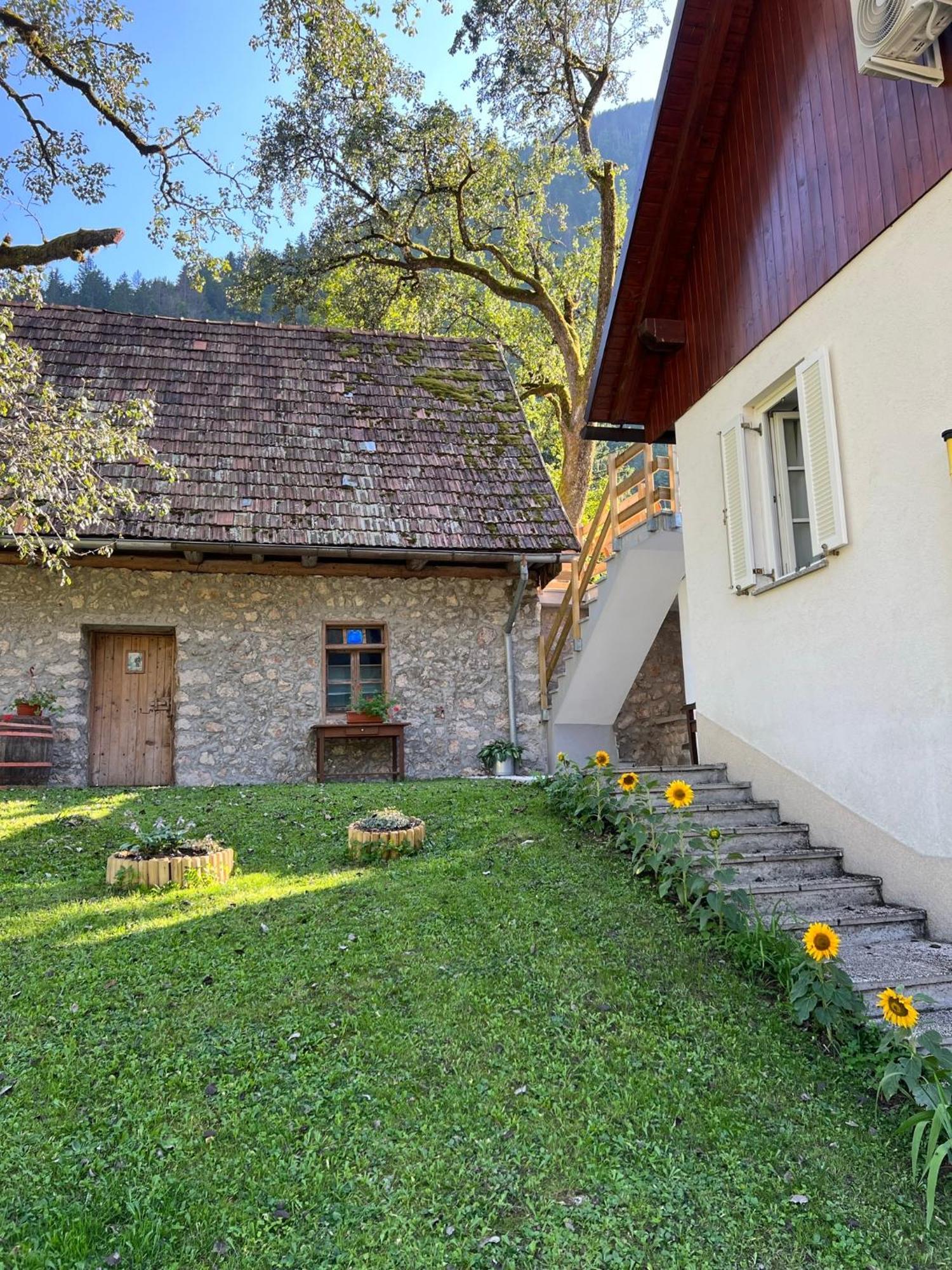 Apartments Mala Korita Soce Soča Extérieur photo