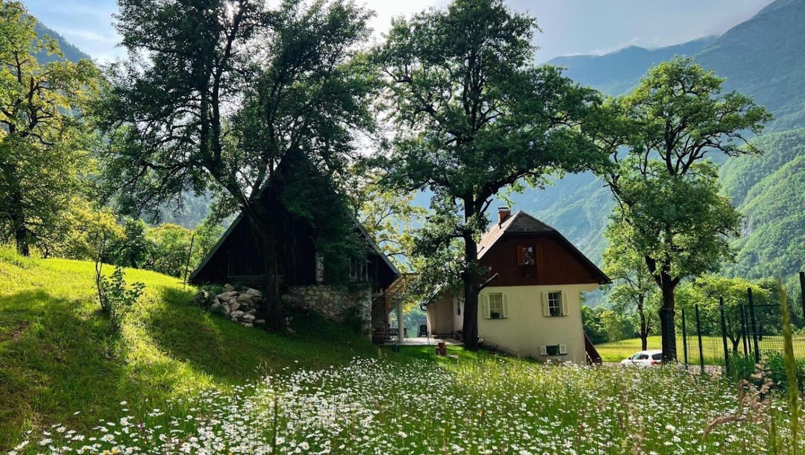 Apartments Mala Korita Soce Soča Extérieur photo
